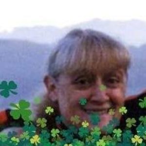 Meet your Posher, Ann